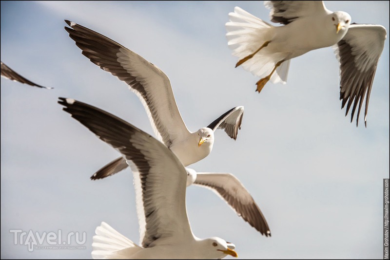 ������. ��������� ����� / ���� �� ������