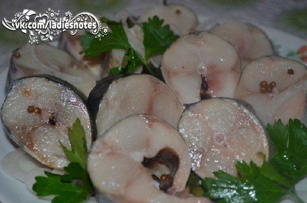 16 РЕЦЕПТОВ НЕОБЫКНОВЕННО ВКУСНЫХ БЛЮД ИЗ РЫБЫ