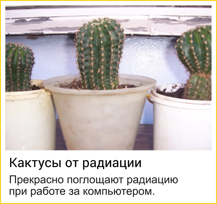 18 интернет-объявлений, к авторам которых возникает уйма вопросов 18 интернет-объявлений, к авторам которых возникает уйма вопросов