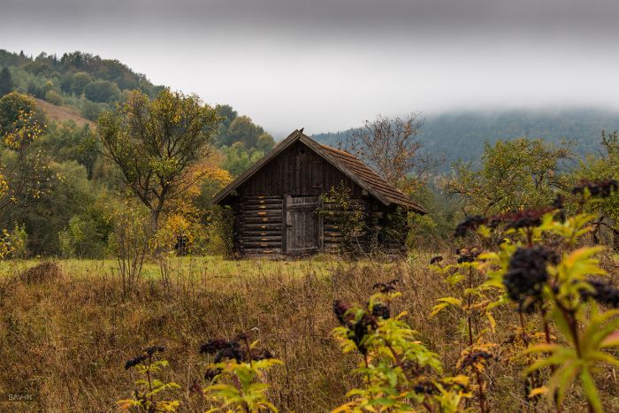 Осень в Крыму и Карпатах (103 фото)