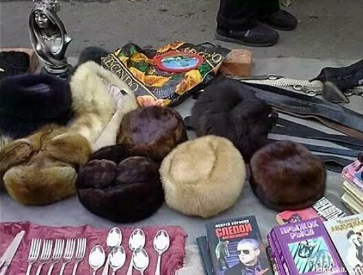 Усатые мастера маскировки Усатые мастера маскировки
(18 фото)