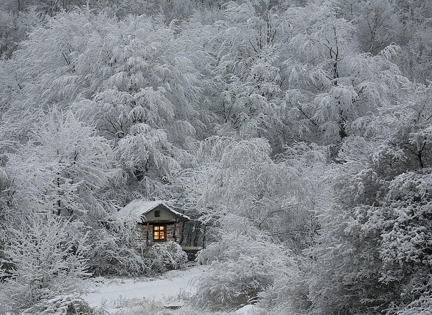 Зимние пейзажи Зимние пейзажи зимние, красивые, фото