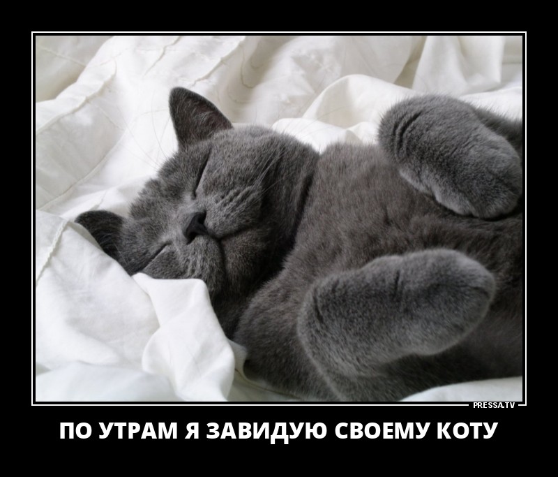 Смешные летние демотиваторы о жизни Смешные летние демотиваторы о жизни