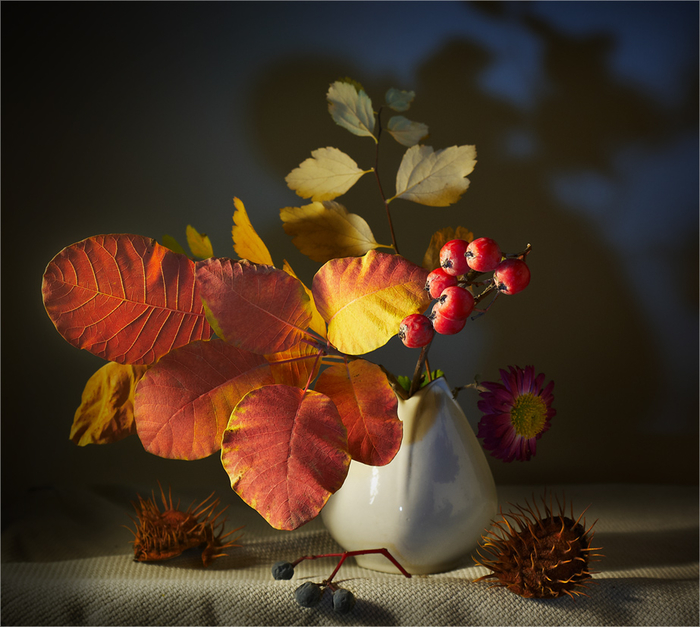 Я соберу букет осенних листьев, Я соберу букет осенних листьев,