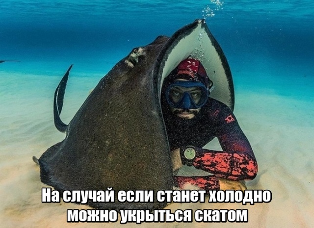 Самые, новые, интересные картинки. часть 535 ( 121 фото ) Самые, новые, интересные картинки. часть 535 ( 121 фото )