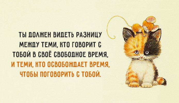 Одной фразой Одной фразой