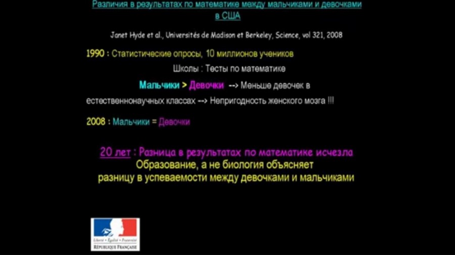 виндаль31-2 Как устроен мозг