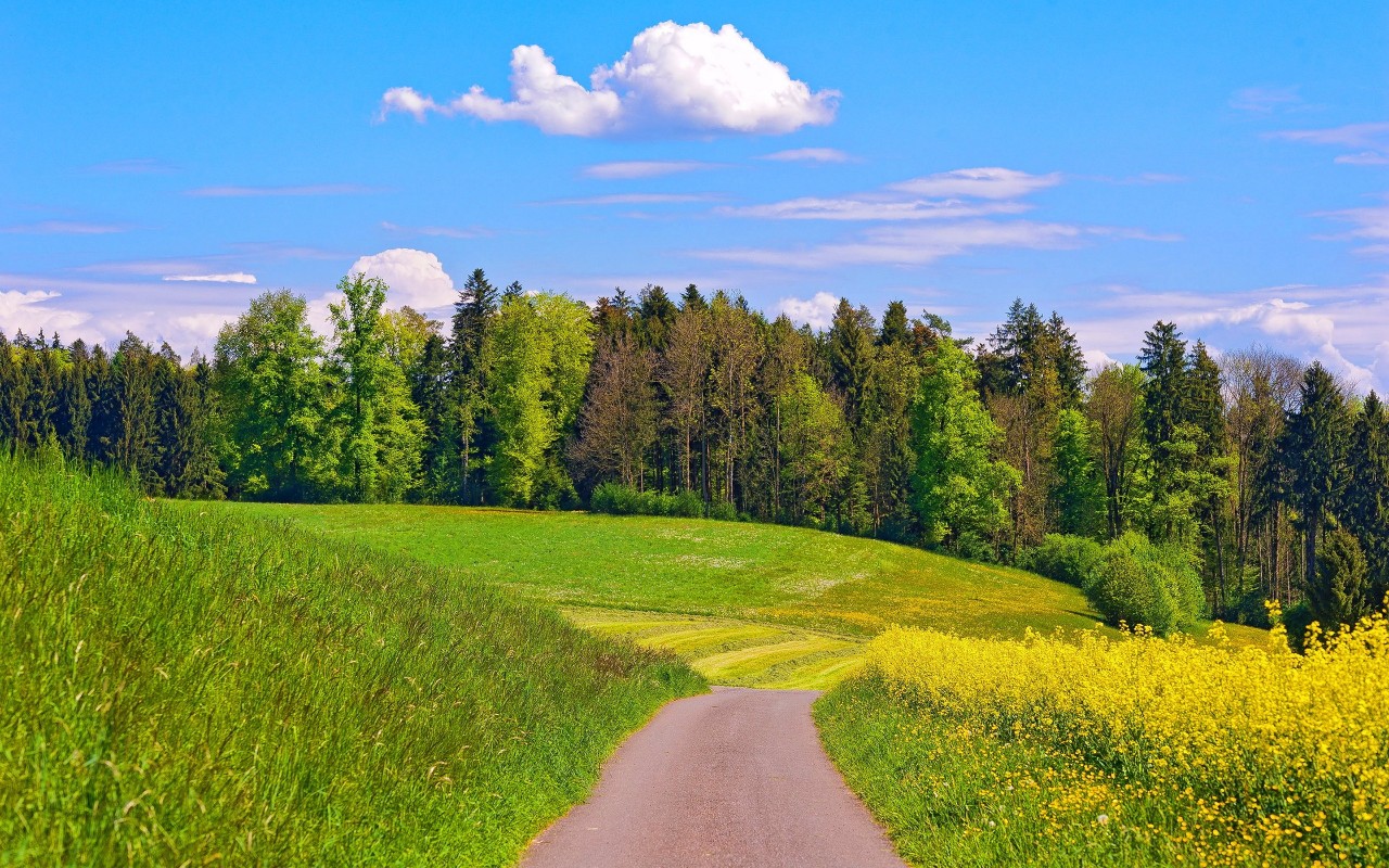Природа России 5 Природа России 5