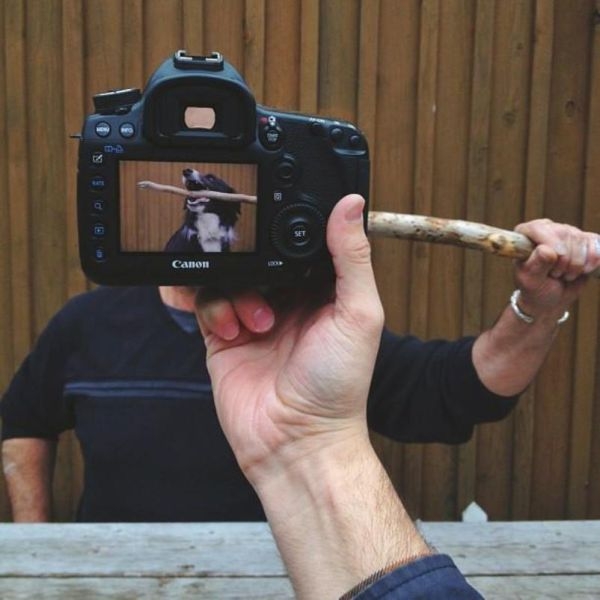 Необычный фотопроект с питомцами и их хозяевами (20 фото) Необычный фотопроект с питомцами и их хозяевами