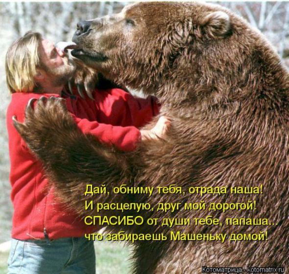 Котоматрицы (картинки с надписями)