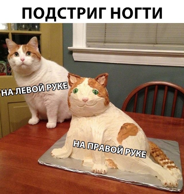 Прикольные картинки абавсём:D Прикольные картинки абавсём:D