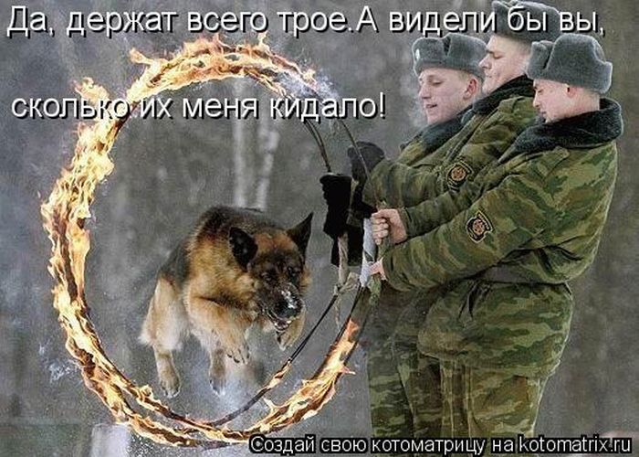 Котоматрицы великолепные, каждая с кусочком тепла, позитива и улыбкой! Котоматрицы великолепные, каждая с кусочком тепла, позитива и улыбкой!