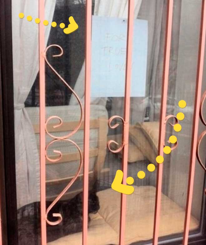 Пес больше не мог любоваться своей возлюбленной в окне и его владельцу пришлось написать эту записку Пес больше не мог любоваться своей возлюбленной в окне и его владельцу пришлось написать эту записку