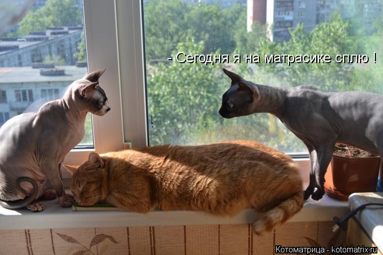 К чему сниться пойти в гости К чему сниться пойти в гости