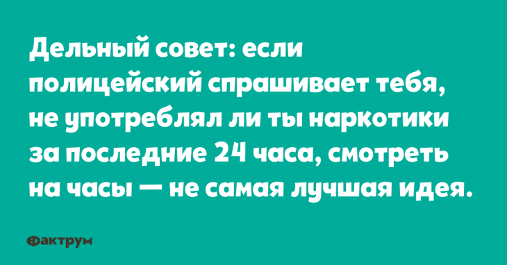 Десять приколов для ценителей хорошего юмора Десять приколов для ценителей хорошего юмора