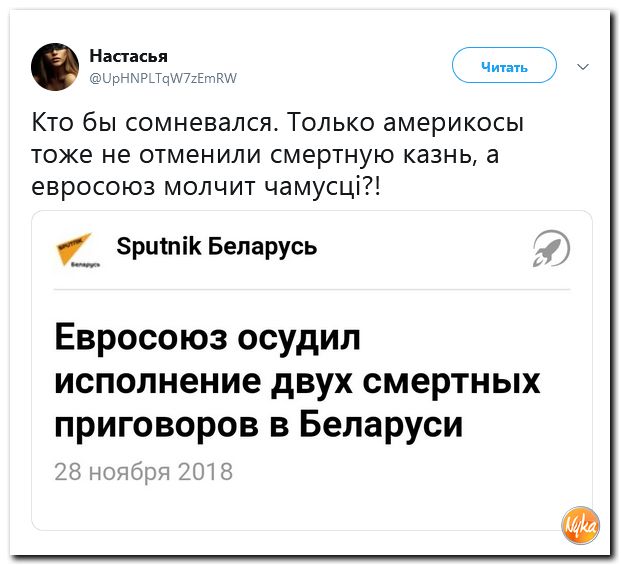 f2dcd9f3d342fd7a2f92300a2bbae544.jpg