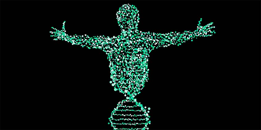 Genome Medicine: найдена генетическая причина астмы