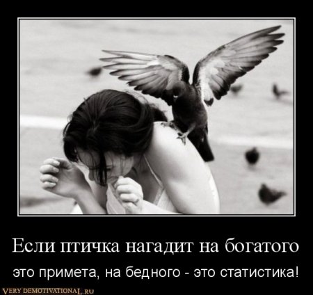 Под стольные демотиваторы!