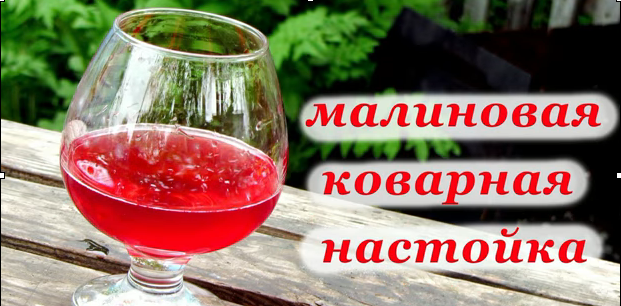 Спиртные напитки. Малиновая коварная настойка Спиртные напитки. Малиновая коварная настойка