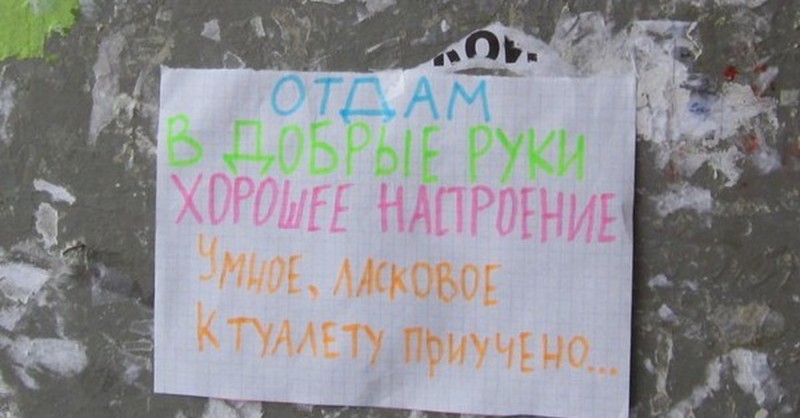 Подборка креативных объявлений, вывесок и информационных табличек Подборка креативных объявлений, вывесок и информационных табличек