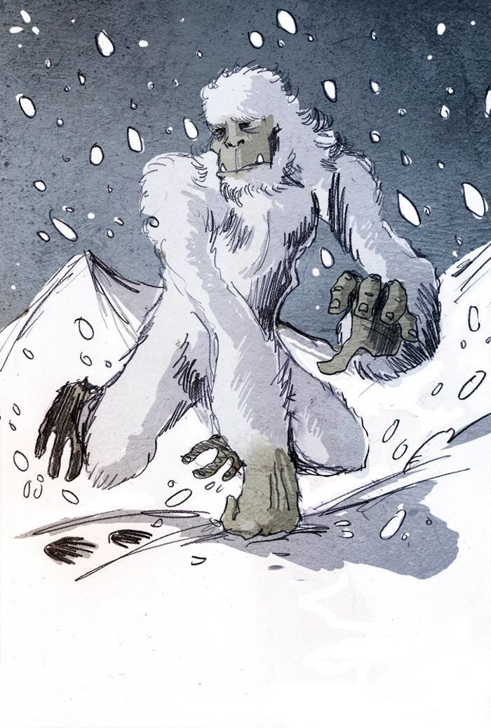 Чтобы попытаться разрешить загадку, Даниэль Тейлор, автор книги "Yeti: The Ecology of Mystery", отважился отправиться в Барун, долину у подножия горы Макалу в Непале Чтобы попытаться разрешить загадку, Даниэль Тейлор, автор книги "Yeti: The Ecology of Mystery", отважился отправиться в Барун, долину у подножия горы Макалу в Непале анализ, днк, йети, медведь, наука, новости, тайна, ученные