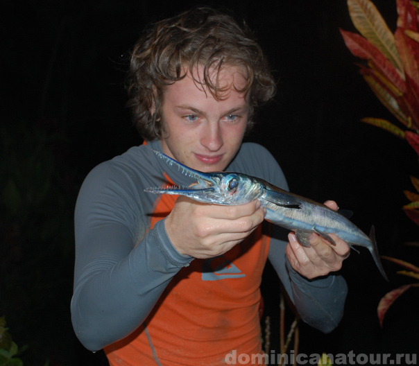 экскурсии в доминикане, экскурсии в доминикане цены