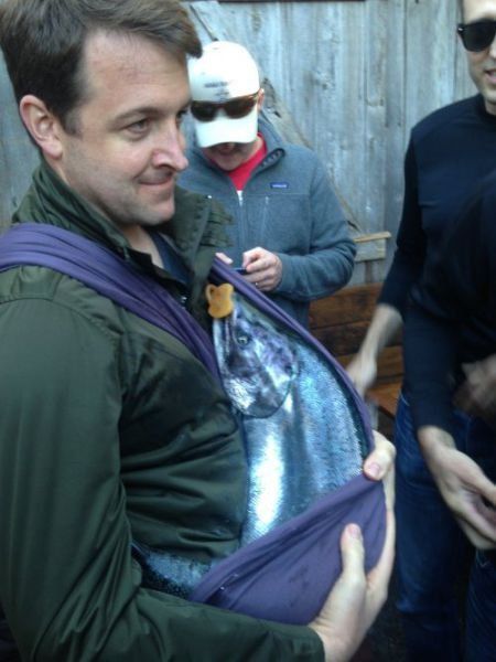 фото, интересное