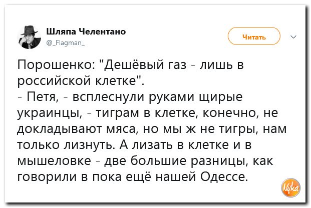 50.jpg