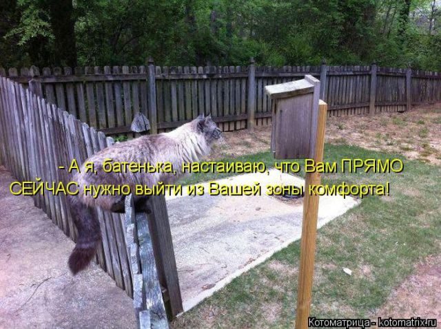 Лучшие котоматрицы за прошедшую неделю)) Лучшие котоматрицы за прошедшую неделю))