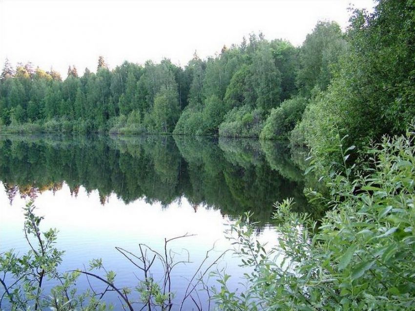 красота, россия