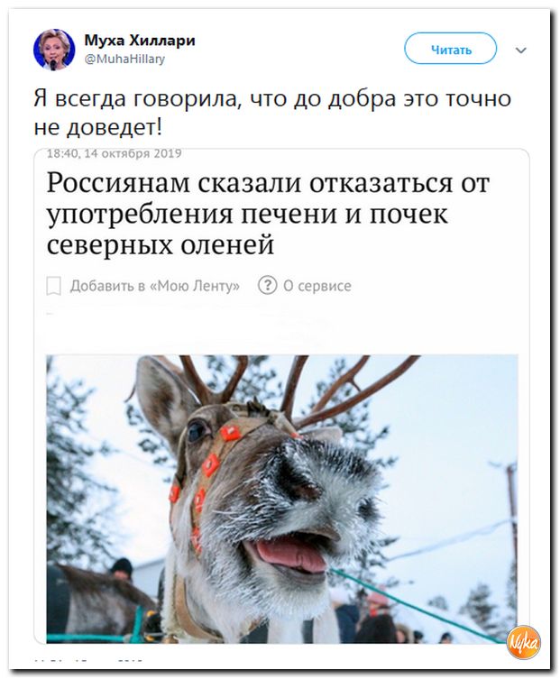 Обо всём понемногу с юмором и ехидными комментариями Обо всём понемногу с юмором и ехидными комментариями