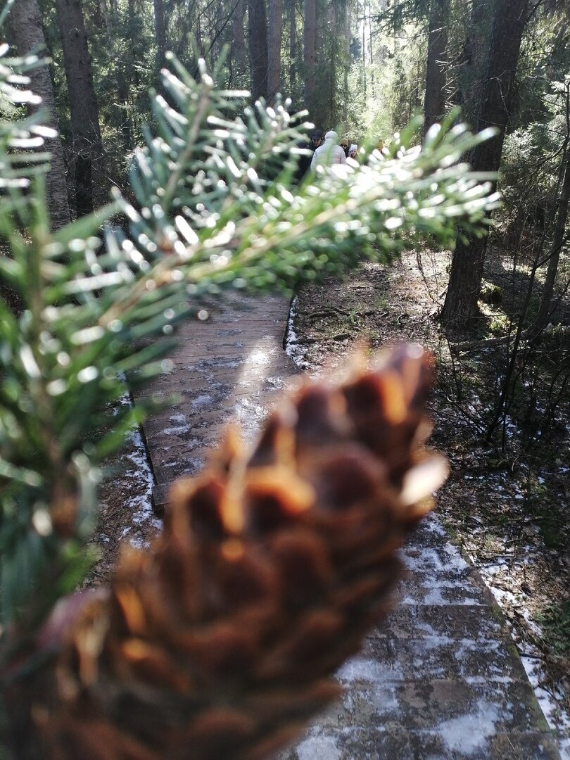 Потерянная жизнь
