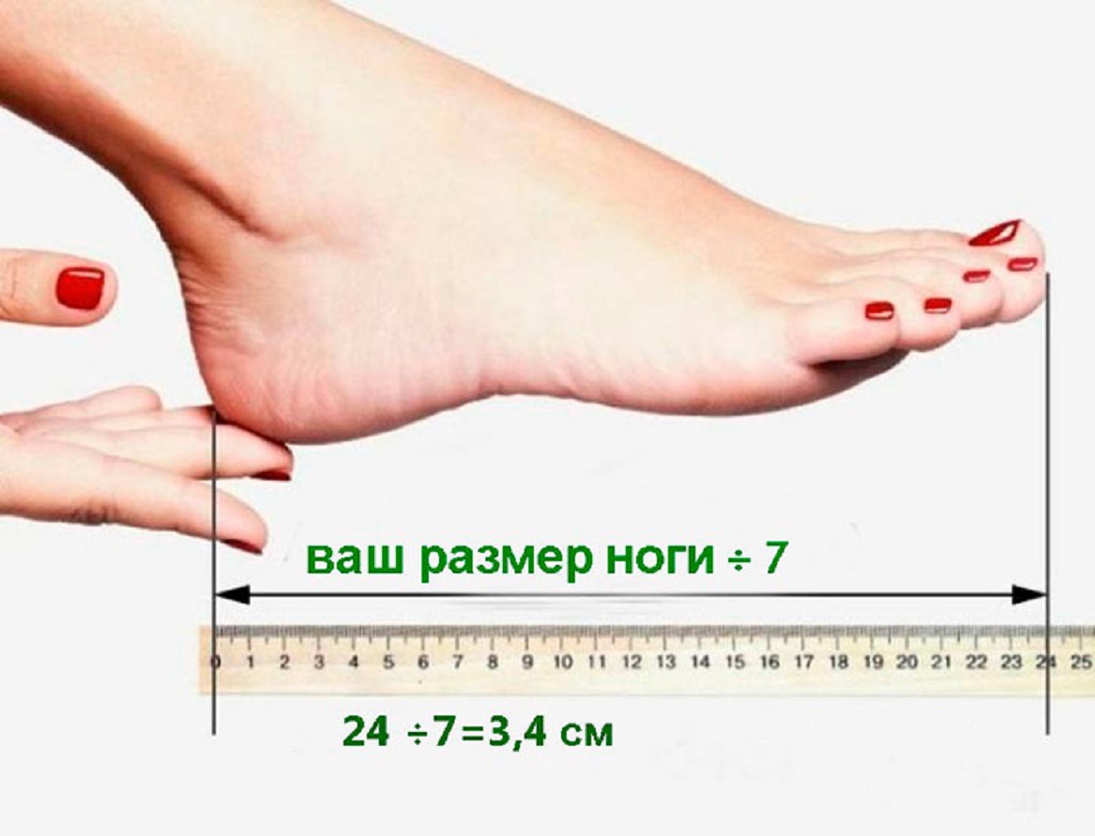 Секс Длина Ножки