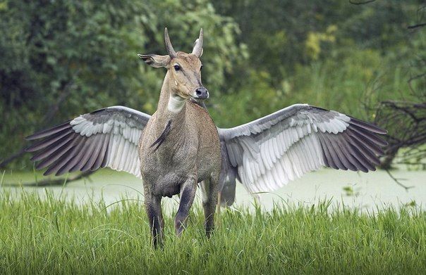 Больше, чем просто фото (50 фото)