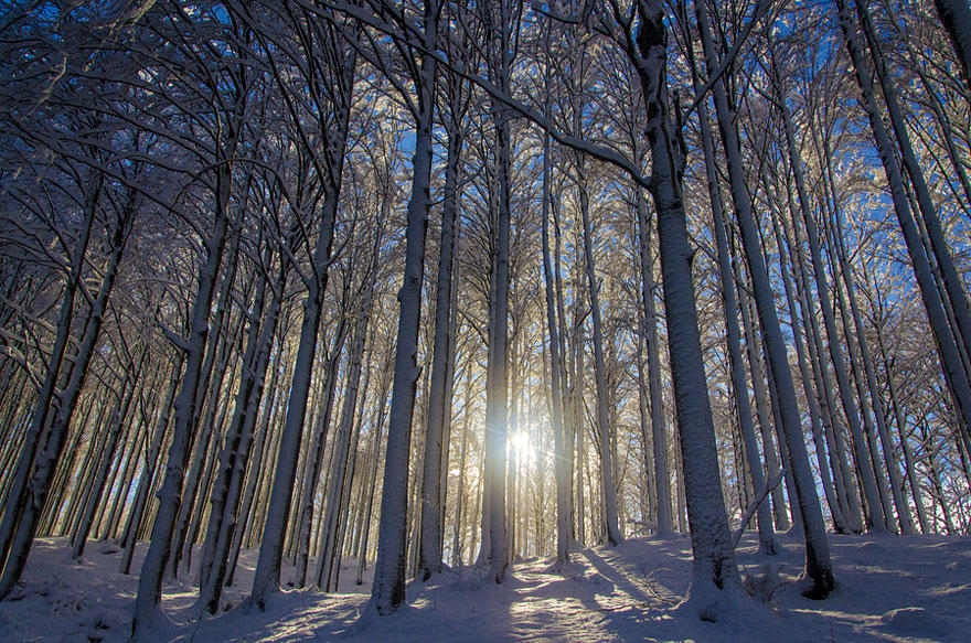 Зимние пейзажи Зимние пейзажи зимние, красивые, фото