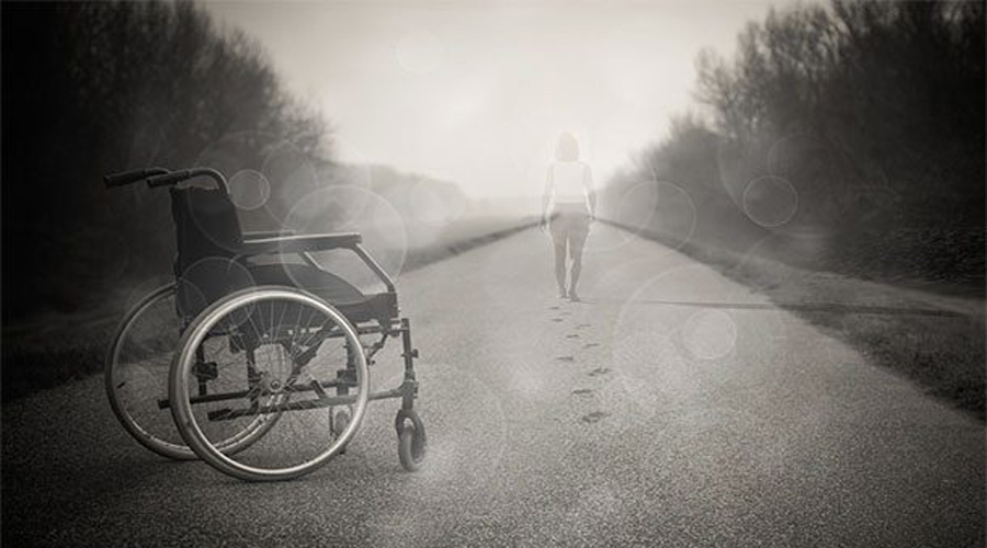 Удивительные открытия последнего года Удивительные открытия последнего года