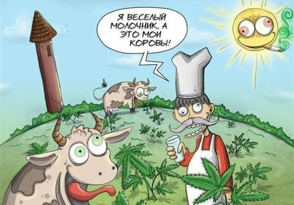 Карикатуры :)
