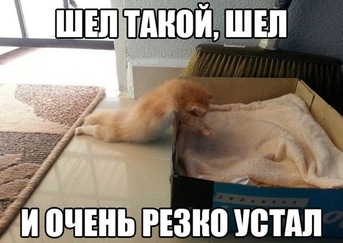 ÐоÑ
ожее изобÑажение