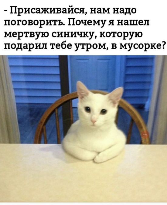 Подборка картинок. Вечерний выпуск (27 фото)