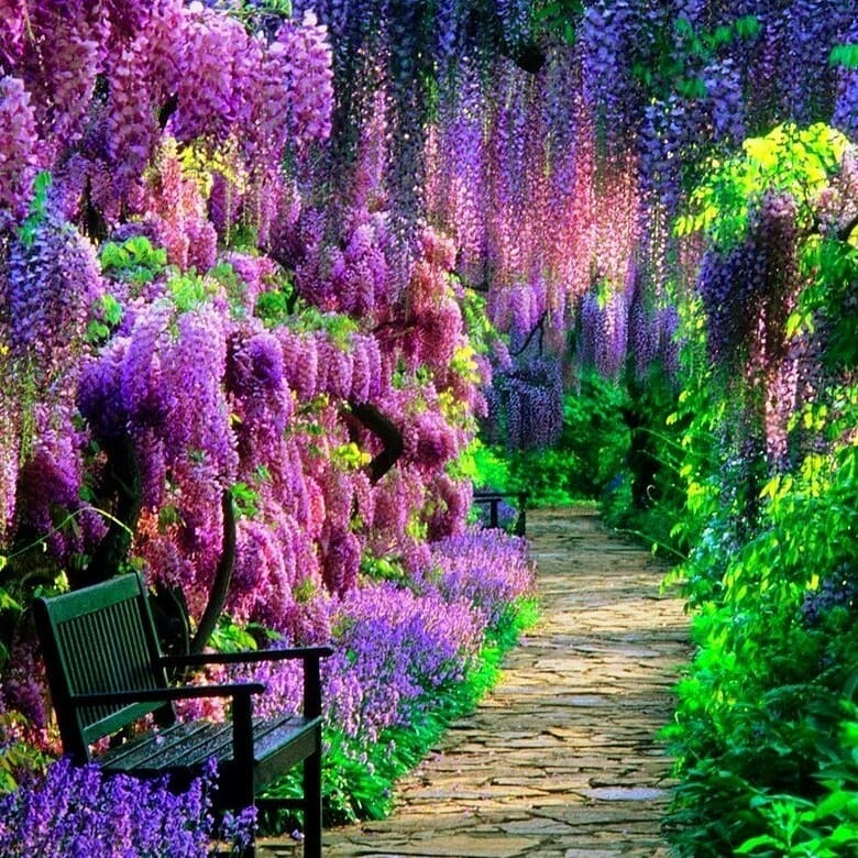 Картинки по запроÑу najpiÄ™kniejsze ogrody na Å›wiecie