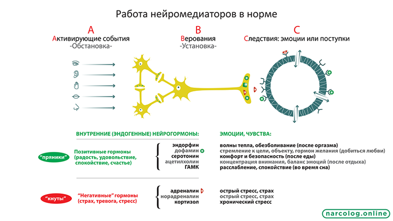 Почему не работает кодировка при алкоголизме? Почему не работает кодировка при алкоголизме? алкоголизм, кодирование, подсознание