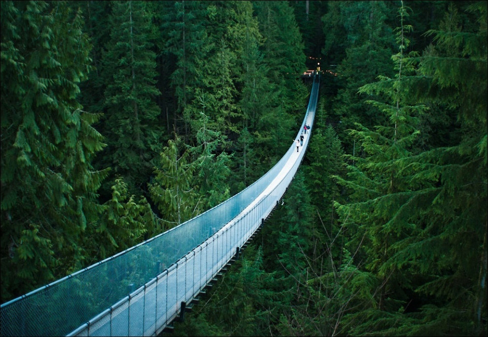 Insane Hanging Bridges 12     