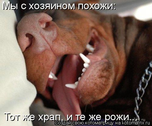  -    :   ,    ...