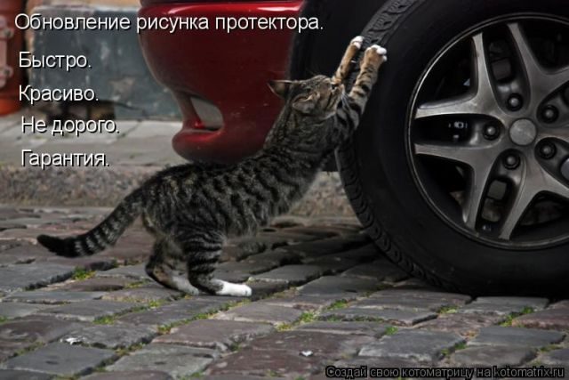 Лучшие котоматрицы за прошедшую неделю)) Лучшие котоматрицы за прошедшую неделю))