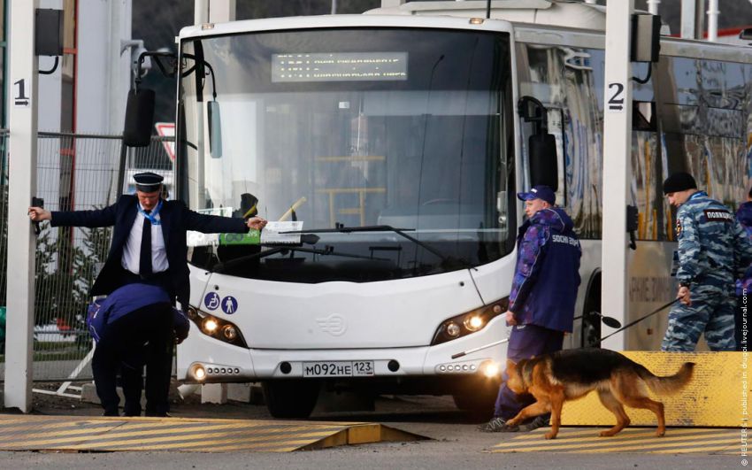 сочи, олимпиада, спорт