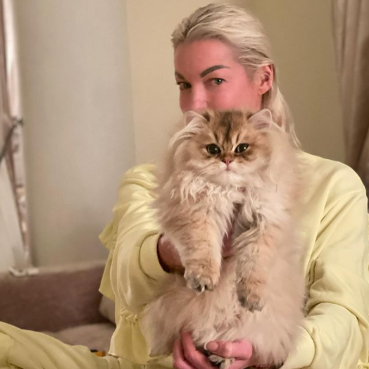 Анастасия Волочкова завела кота стоимостью полмиллиона рублей