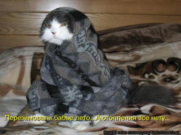 �����������(�������� � ���������)