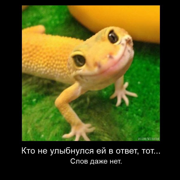    ! , , 