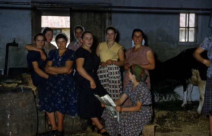 Жизнь простых советских людей в конце 1950-х на фотографиях американского профессора