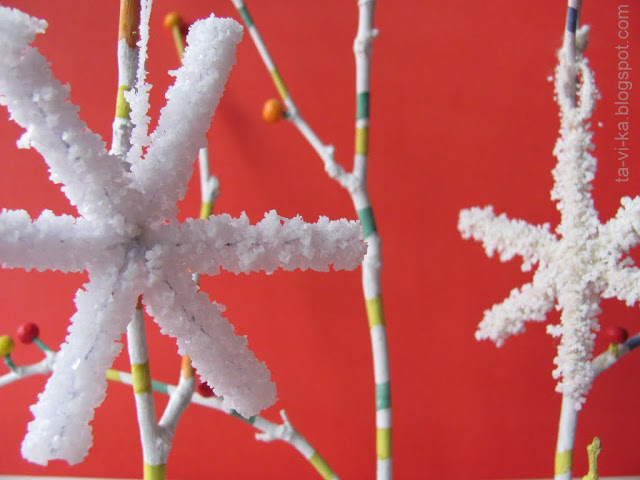 выращивание кристаллов соли growing salt crystals